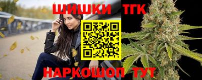 крисы Камышлов