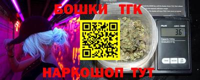 крисы Камышлов