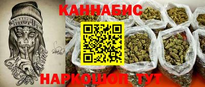 крисы Камышлов
